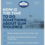 Now is the Time: Curbing Gun Violence